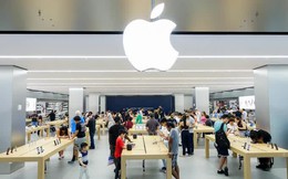 Apple ồ ạt tuyển dụng tại Việt Nam: Hút người từ Nam ra Bắc, trải rộng tới 62 đầu việc