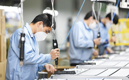 Tin vui cho doanh nghiệp SME: Thành phố Hà Nội hỗ trợ tới 300 triệu đồng tiền hợp đồng tư vấn chuyên sâu, hỗ trợ 100% chi phí đào tạo, tập huấn tư vấn viên