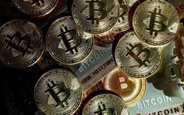 Canh bạc đổi đời của doanh nghiệp mua nhiều Bitcoin nhất thế giới: Từ cái tên lụi tàn trong làng công nghệ đến mức tăng trưởng 3.300%, thu về 14 tỷ USD/quý