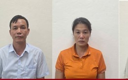 Bắt giám đốc Công ty lâm nghiệp cùng thuộc cấp khai thác trái phép rừng tự nhiên