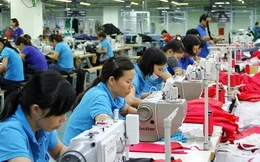 Tất cả lao động từ 16 tuổi đều được 'định danh' trong dữ liệu quốc gia