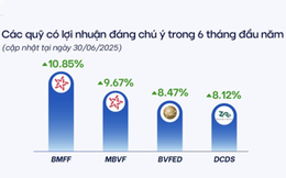 "Soi" lợi nhuận của quỹ mở 6 tháng đầu năm: Bỏ 100 triệu đồng đầu tư vào quỹ nào lãi nhất?