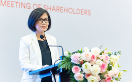 Công ty con của Vingroup bổ nhiệm Tổng giám đốc mới