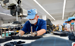 Kỷ lục chưa từng có: Hơn 24.000 doanh nghiệp thành lập mới chỉ trong tháng 6