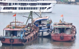 Tàu Vịnh Xanh 58 gặp nạn ở Hạ Long có đủ điều kiện hoạt động?