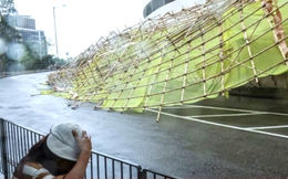 Bão Wipha tấn công Hong Kong, Trung Quốc sơ tán gần 280.000 người