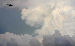 Bão Wipha giật cấp 14, hàng không lên phương án điều chỉnh kế hoạch bay