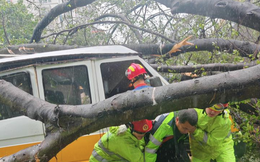 Bão Wipha (bão số 3) đổ bộ Quảng Đông, miền Nam Trung Quốc