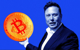 Sai lầm đau đớn Elon Musk muốn chôn vùi mãi mãi: Để Tesla bán 'non' Bitcoin từ 3 năm trước, mất trắng 3,5 tỷ USD