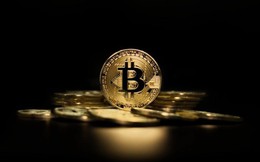 Đến thời tiền số thổi giá chứng khoán: Các doanh nghiệp đua nhau mua ‘coin’ để nâng giá cổ phiếu, liệu có bền vững?