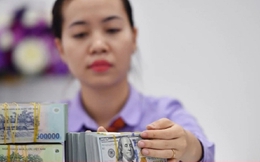 Yêu cầu xem xét miễn, giảm lãi vay cho người dân sau bão số 3