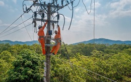 Cú 'vươn mình' đáng kinh ngạc của EVN: Đầu năm lỗ 8.100 tỷ đồng, hết năm lột xác lãi hơn 8.200 tỷ đồng