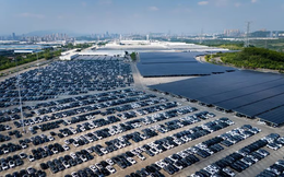Một thành phố ở châu Á đang ấp ủ trở thành ‘biểu tượng của kỷ nguyên xe điện’: Mỗi năm cho ra lò 2,5 triệu chiếc, loạt đại bàng đã tới làm tổ