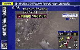 Bí ẩn cá voi dạt bờ hàng loạt ở Nhật Bản: Dấu hiệu cảnh báo sóng thần?