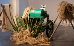 Từ cái áo, chiếc ghế đầu tiên làm từ cà phê... DN Việt Nam đã tận dụng thiên nhiên và sản xuất được quy mô công nghiệp