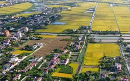 Miễn thuế sử dụng đất nông nghiệp đến hết ngày 31/12/2030