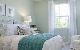 Vì sao không nên để cây xanh trong phòng ngủ?