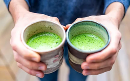 Loại trà chứa nhiều EGCG gấp 137 lần trà xanh, được chuyên gia Ba Lan hết lời khen ngợi: Giúp kéo dài tuổi thọ hiệu quả, rất sẵn ở Việt Nam