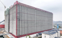 Dự án "chung cư nuôi heo" đầu tiên tại Việt Nam chính thức được phê duyệt: Nuôi heo trong chung cư 6 tầng, 92 nhân công tạo ra sản lượng 100.000 heo thịt