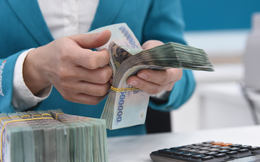 "Tài khoản ngân hàng chính đăng ký thuế nếu có giao dịch sai phạm, tất cả tài khoản liên quan của hộ kinh doanh có thể bị kiểm tra, truy thu"