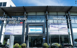 Haxaco đấu giá bất thành lô đất hơn 6.200m2 tại TP.HCM