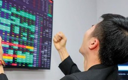 Mã chứng khoán nào là tâm điểm "gom" hàng của tự doanh CTCK trong phiên đầu tháng 8?