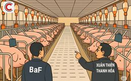 2 doanh nghiệp xin xây 'chung cư nuôi heo': Tiềm lực như thế nào?