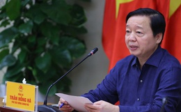 Phó Thủ tướng yêu cầu kiểm tra lò mổ, xem xét xử lý hình sự bán và thả heo bệnh