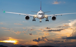 Hãng bay nào đúng giờ nhất trong 7 tháng đầu năm?