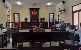 Phục hồi điều tra vụ nữ ‘đại gia’ thủy sản bị cáo buộc hủy hoại tài sản 23 triệu đồng