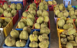 Sàu riêng rẻ chưa từng có được bán la liệt: Bài học tăng trưởng 'nóng'