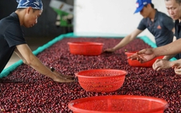 Xuất khẩu vào Mỹ bắt đầu khó, doanh nghiệp thận trọng từng đơn hàng