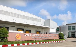 Doanh thu quý 2 của C.P tại thị trường Việt Nam giảm mạnh