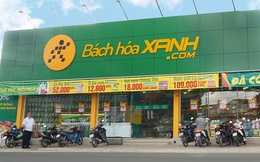 Tổng giám đốc Thế Giới Di Động tiết lộ thời điểm "Bắc tiến" của Bách Hóa Xanh, dự kiến mở mới 1000 cửa hàng mỗi năm