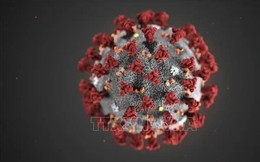 COVID-19 có thể khiến mạch máu phụ nữ lão hóa nhanh trước 5 năm