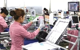 Việt Nam chi hơn 100 tỷ USD mua hàng Trung Quốc trong 7 tháng