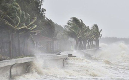 Bão số 5 đang rất mạnh, di chuyển nhanh