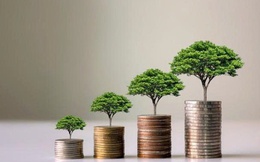 Loạt doanh nghiệp chốt quyền trả cổ tức trong tuần từ 25/8/-29/8