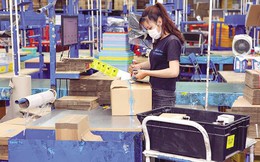 Tăng trưởng 27%, thị trường TMĐT Việt Nam 32 tỷ USD tìm kiếm nhân sự có tư duy bền vững qua cuộc thi sinh viên