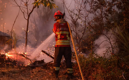 Cậu bé 14 tuổi thú nhận cố tình gây ra nhiều vụ cháy rừng ở Bồ Đào Nha