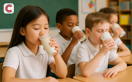 Chuyên gia nói về Sữa học đường: Trên nhãn ghi 'sữa tươi tiệt trùng' nhưng rất khó xác định là 'sữa tươi nguyên liệu' hay 'sữa hoàn nguyên pha lại từ bột'