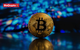 Giá Bitcoin vượt 110.000 USD: Có bao nhiêu người trên thế giới đang sở hữu trọn vẹn một Bitcoin?