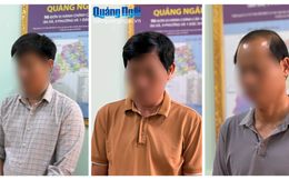 Khởi tố 2 giám đốc