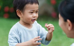 Nhiều bà mẹ chăm con có hiện tượng lạ, chồng chê "giả vờ": Khoa học não bộ đã "minh oan"