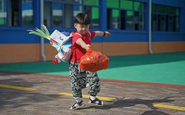 Nghiên cứu Harvard: 3 ĐẶC ĐIỂM nhận diện “thiên tài nhỏ” từ tuổi mầm non, cha mẹ lưu ý!