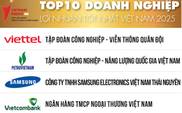 Viettel vượt PetroVietnam trở thành doanh nghiệp có lợi nhuận tốt nhất năm 2025, ngân hàng vẫn áp đảo trong top 10
