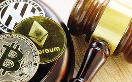 Hai start-up tài sản số bất ngờ thông báo "dừng phục vụ"  tại Việt Nam, vì sao?