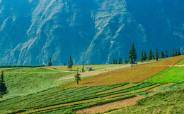 Thảo nguyên rộng lớn ngay vùng núi phía Bắc, cách Hà Nội 400km: Du khách nhận xét "như Châu Âu thu nhỏ"