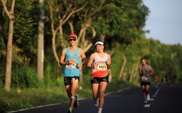 HDBank Green Marathon 2025 - Điểm hẹn của những bước chân xanh và nhịp sống số