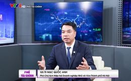 GS.TS Mạc Quốc Anh: Việt Nam là điểm đến của rất nhiều nhà đầu tư